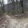 A trail junction on the Twin Lakes Trail