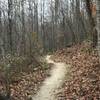 Aggressive downhill bumps give the Twin Lakes Trail great flow.