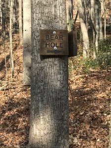 The first entrance to Bear Hole you come to off the Chesley Creek Trail is very well marked.