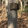 The first entrance to Bear Hole you come to off the Chesley Creek Trail is very well marked.