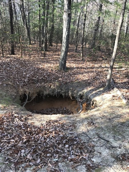 This is the bear hole the trail is named after.