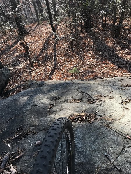 An awesome rock roll is a treat to riders on Bear Hole.