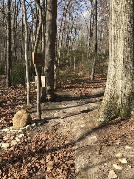 The exit or second entrance to Bear Hole (off the Chesley Creek Trail) is relatively easy to navigate.