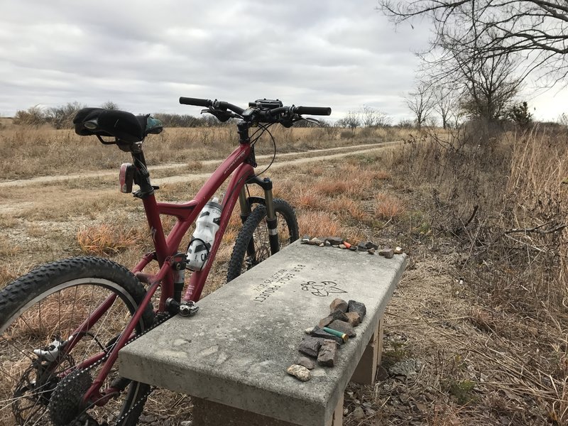 Boy Scouts have placed 3 or so benches along this area of the trail; I warmed up from the wind behind a cedar tree beside this bench.