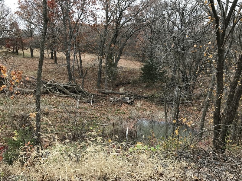 Every creek crossing is filled with wildlife; I've scared up many deer, turkey and quail on this ride.