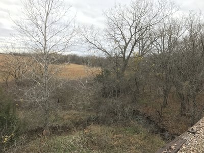 Another neat creek full of wildlife