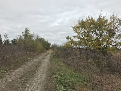 From Osage City East, there are lots more houses within a few hundred feet of the trail.  It's a lot less remote, but that's probably a good thing in case of bike problems.
