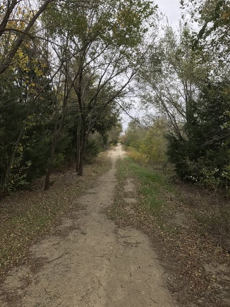 Trail through Vassar