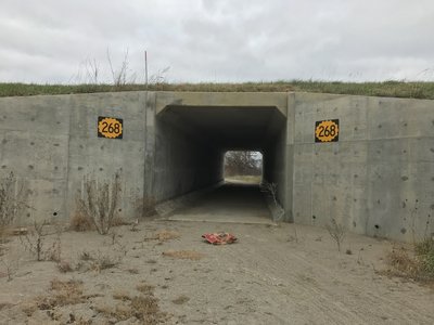 Oh boy!  A tunnel!