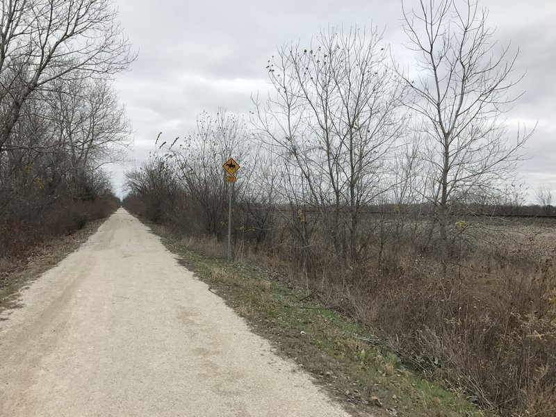 The trail is very well maintained from here into Ottawa.