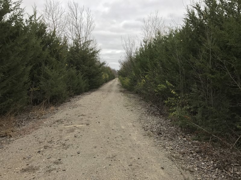 This section of trail is not a remote as the rest, but it is well maintained and a great ride.