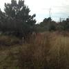 Bear Creek North Trail: Transition between grassland and brushy section (November 2016)