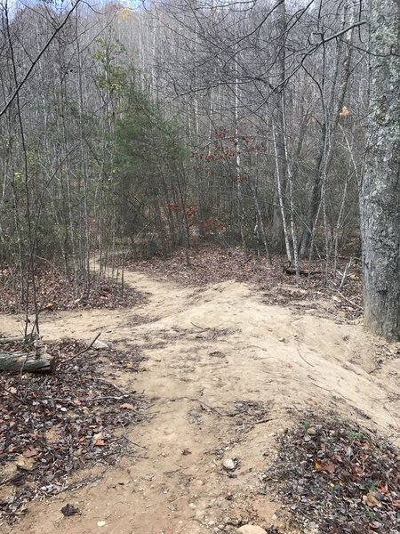 At the northernmost point on Deane's, many other trails can be accessed. Keep straight as Deane's and Twin Lakes share about 100 yards of trail.