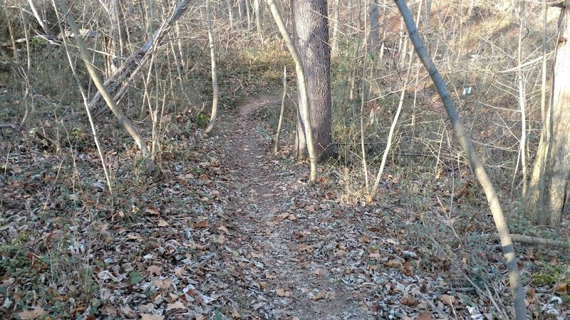 Heading down the Chisler Trail.