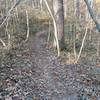 Heading down the Chisler Trail.