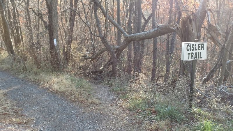 Trail access off of Gibbons Sreet gravel road.