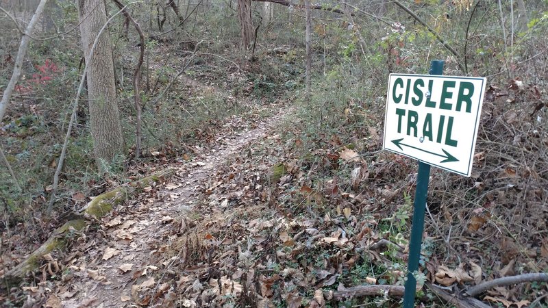 Cisler Trail at Boehrsma Trail intersection