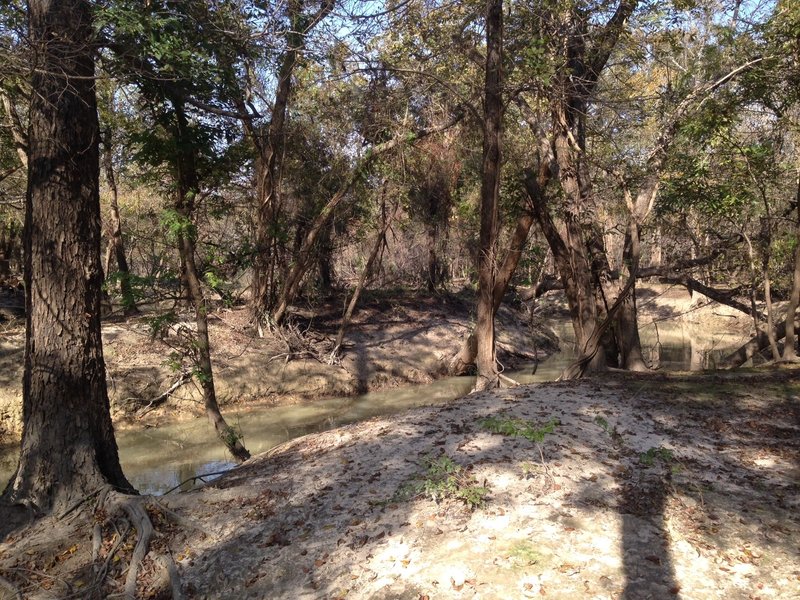 Eldridge to Langham Creek Trail: West End, viewing Langham/Bear Creek (November 2016)