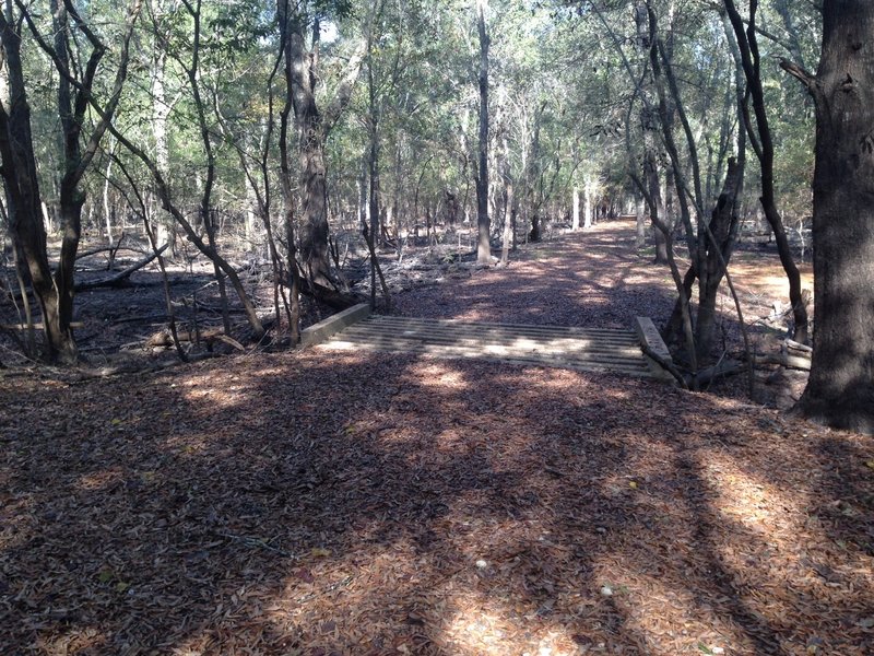 Eldridge to Langham Creek: Junction with "Bear Creek to Langham Creek Trail" coming in from the north (November 2016)