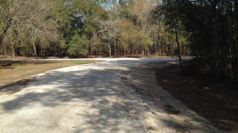 Junction of Boy Scout Field Trail with Eldridge View Trail, looking north; Boy Scout Field Trail branches off to the west. (November 2016)