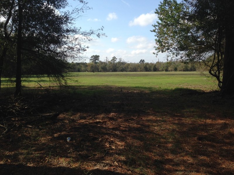 High Road Connector: View of grassland looking southwest (November 2016)