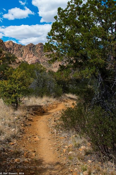 Scenes in Cochise Stronghold in the center of the range in Southeast Arizona