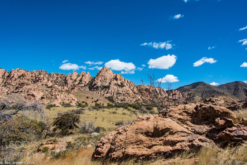 The West Slope, Dragoon Mountains