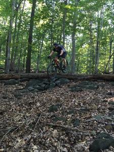 What is this trail?  Jane