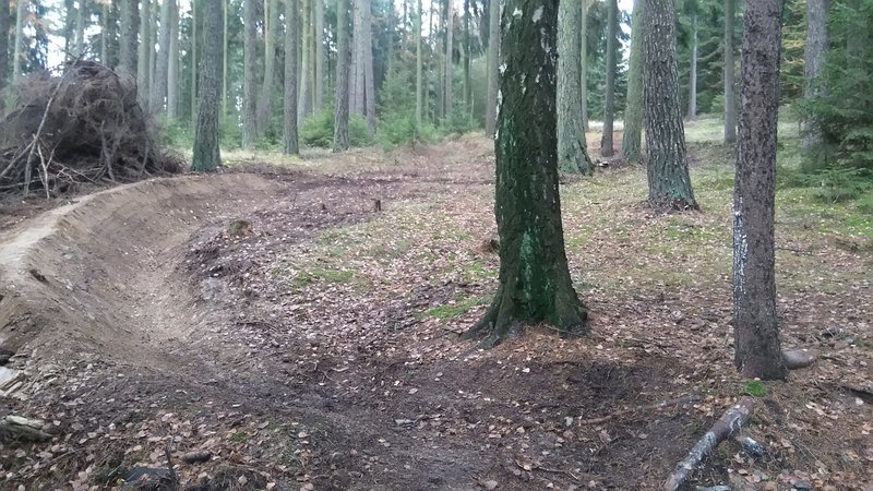 Fresh Berms await riders on the Old Downhill Trail.