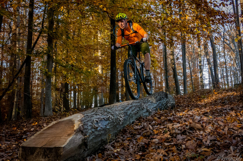 My friend Lane balancing on the skinny on the Holly Trail Loop.