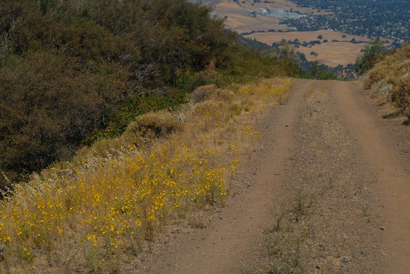 Prospector's Gap Fire Road makes for easy link-ups in Mount Diablo State Park.