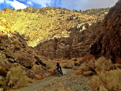Carving turns on open singletrack through the bottom of Silver Canyon.