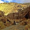 Carving turns on open singletrack through the bottom of Silver Canyon.