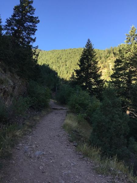 A section of wide, smooth tread on the Rattlesnake Gulch Trail in Eldorado Canyon State Park