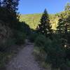 A section of wide, smooth tread on the Rattlesnake Gulch Trail in Eldorado Canyon State Park