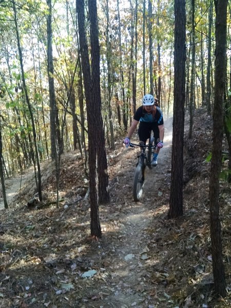 The tight pine trees on Peak Attack provide a welcome challenge for riders of all skill levels.