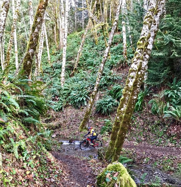 A rider carefully navigates a creek crossing on the OAT.