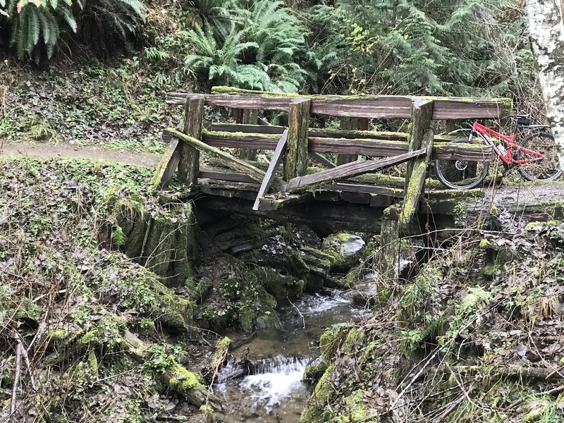 A small wooden bridge over flowing water keeps your feet dry on the OAT.