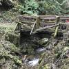 A small wooden bridge over flowing water keeps your feet dry on the OAT.