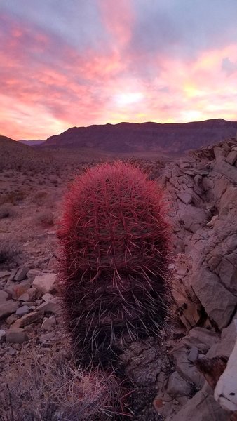 December-evening ride views are phenomenal in the desert!