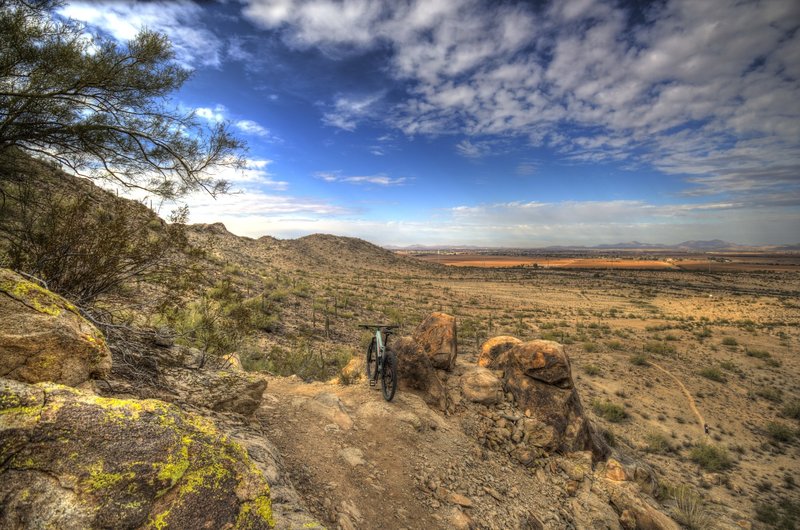 Looking north form Ridge Trail toward the Peart parking lot