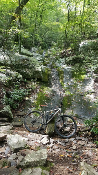 Blue Suck Falls trail.