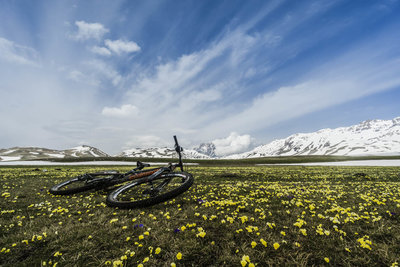 Wildflowers in bloom in early spring in the Campo Imperatore (Emperor's Field) with Corno Grande in the background