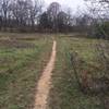 Singletrack through a prairie connecting two sections of woods.