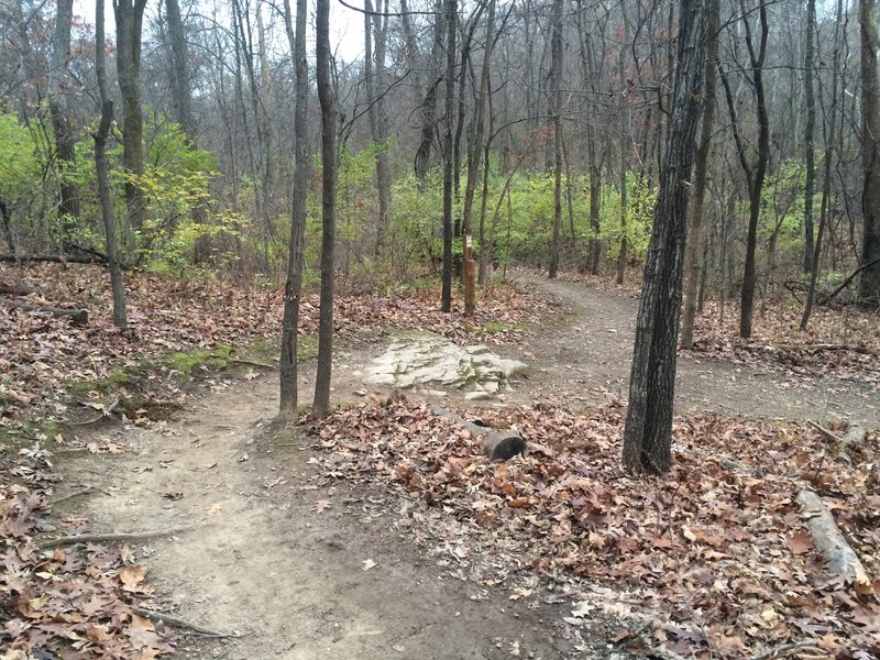 A small rock face at the intersection of the Cattle Ridge Trail and the parking connector.