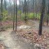 A small rock face at the intersection of the Cattle Ridge Trail and the parking connector.