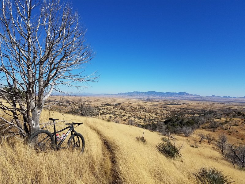 AZT East of Melendrez Pass. The high point of the loop 5867'