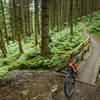 Switchbacks in the lush forest climbing the Red Route in Glentress