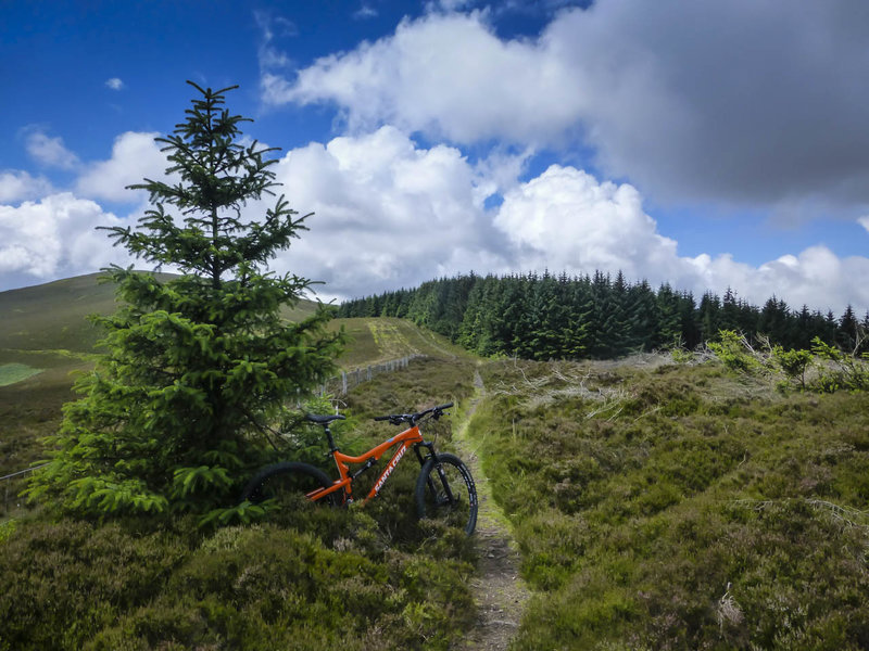 A fun section of singletrack in the Scottish countryside near Innenleithen