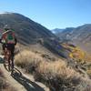 Habeggers Climb above the fall colors.